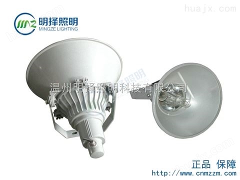 NTC9210-J400NTC9210-J400,防震型投光灯