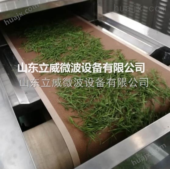 厂家用什么机器烘干杀青处理石竹茶叶的