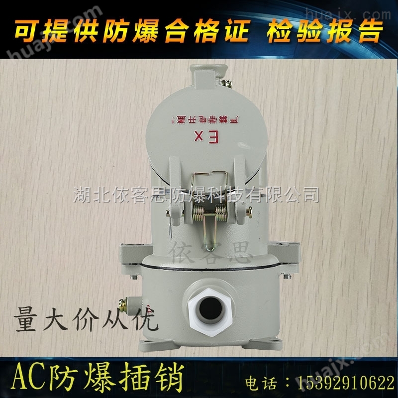 BCZ85-125/3P+PE防爆插销插座