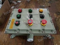 防爆防腐启动电机控制箱BXK8061-K1D2