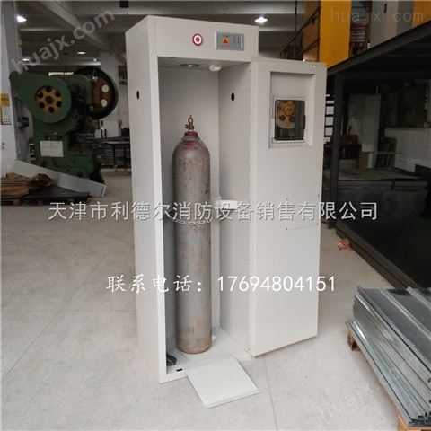单瓶气瓶柜 防爆气体安全柜 天津实验柜
