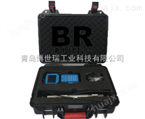 BR-600型上海手持式粉尘浓度检测仪