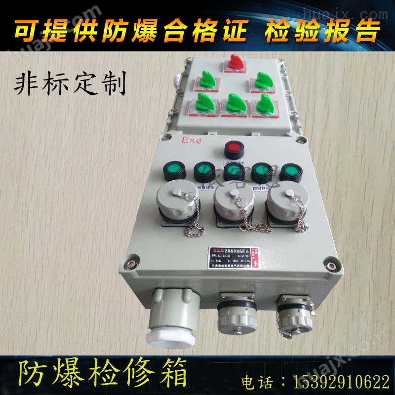 BXX52-2K/220V粉尘防爆检修配电箱