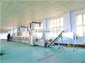 LW-20GM-6X济南地区陶瓷微波干燥定型生产线厂家*
