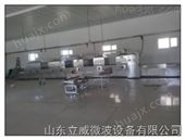 济南大型微波干燥设备生产厂家-地址-
