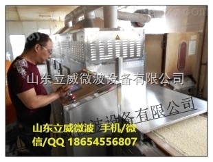 济南地区大型快餐微波加热设备