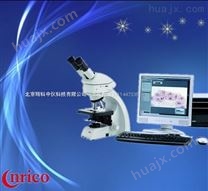 四川哪里有适用于初学者的材料观察显微镜徕卡DM750卖