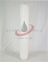 lonqi保安过滤器滤芯RMPM-P050-PE