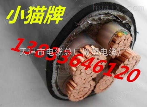 任东霞正规小猫电缆厂家销售