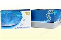 vista大鼠白细胞介素6ELISA试剂盒