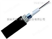 安徽天康GYXTY-12B1 中心束管式钢丝铠装光缆