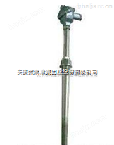 安徽天康WRN2-430M耐磨阻漏热电偶