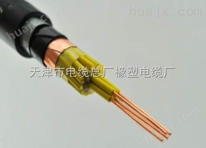 计算机电缆DJYVP2R型号说明 仪表电缆DJYVP2R规格说明