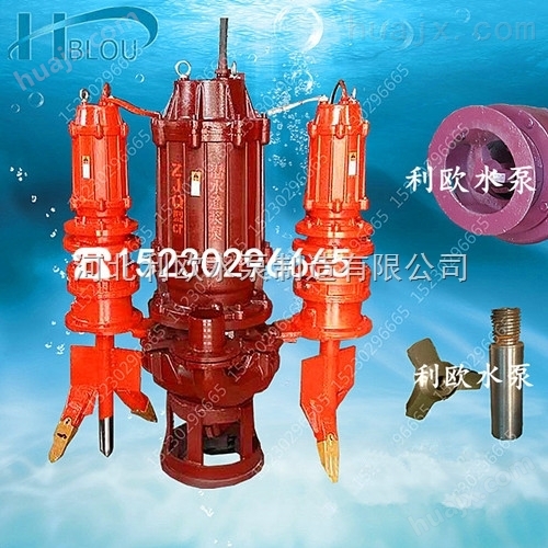 利欧65ZJQ-55-10-K潜水渣浆泵泥浆泵排污泵液下污水泵