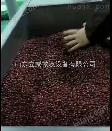 红豆快速烘熟熟化机 带式微波熟化设备