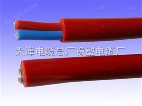 高标准国标电缆 TVR-2*10弹性体软芯行车电缆
